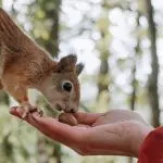 Talkabout - God, Mary & Squirrels