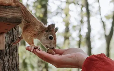 Talkabout – God, Mary & Squirrels
