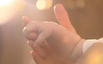 Talkabout – Back to the Manger