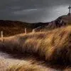 Random Musing At The Start Of Lent