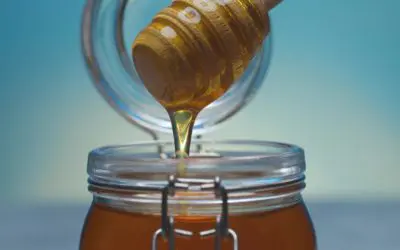 Foraging the Wild Hive