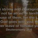 Real Thanks to be Given: Our Coming Pandemic of Courage