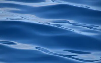 Do-It-Yourself Water Filter