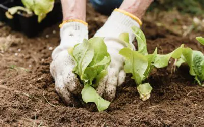 Gardening Resources