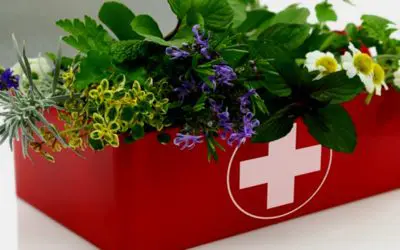 First Aid Resources