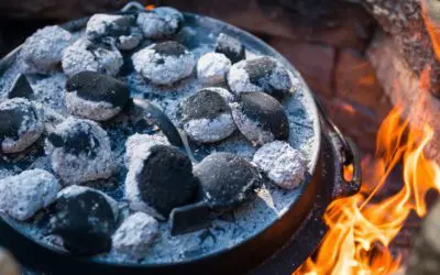Cooking, Canning, Dehydrating & Storage Resources
