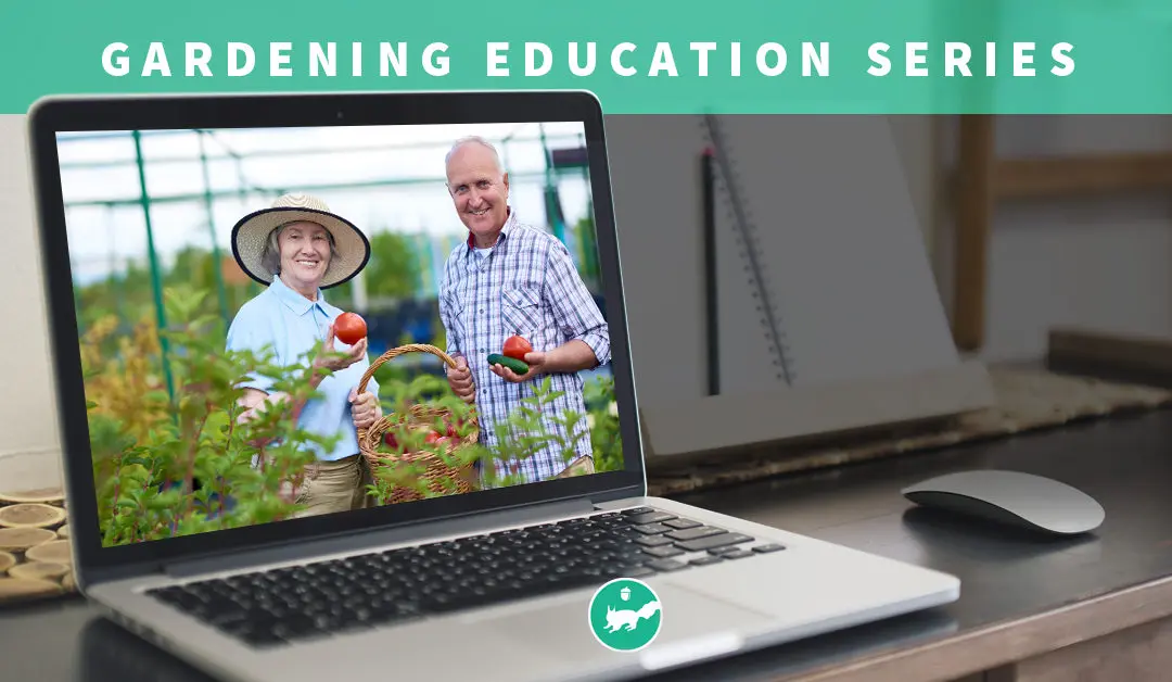 Gardening – Session 4 (Virtual Class)