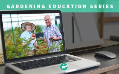 Gardening – Session 4 (Virtual Class)