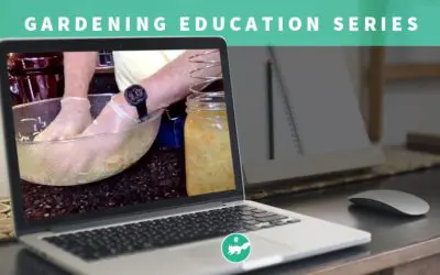 Gardening – Session 5 (Virtual Class)