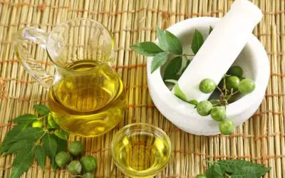 Neem Oil for Pest Control in the Garden
