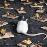 On Dangerous Ground