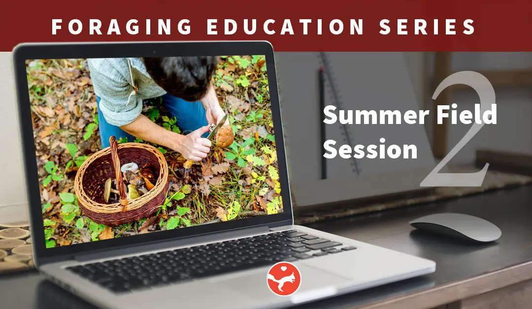Foraging – Field Session 2 Only