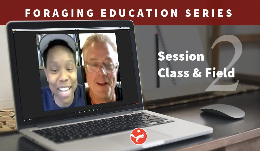 Foraging – Session 2 (Virtual Class)