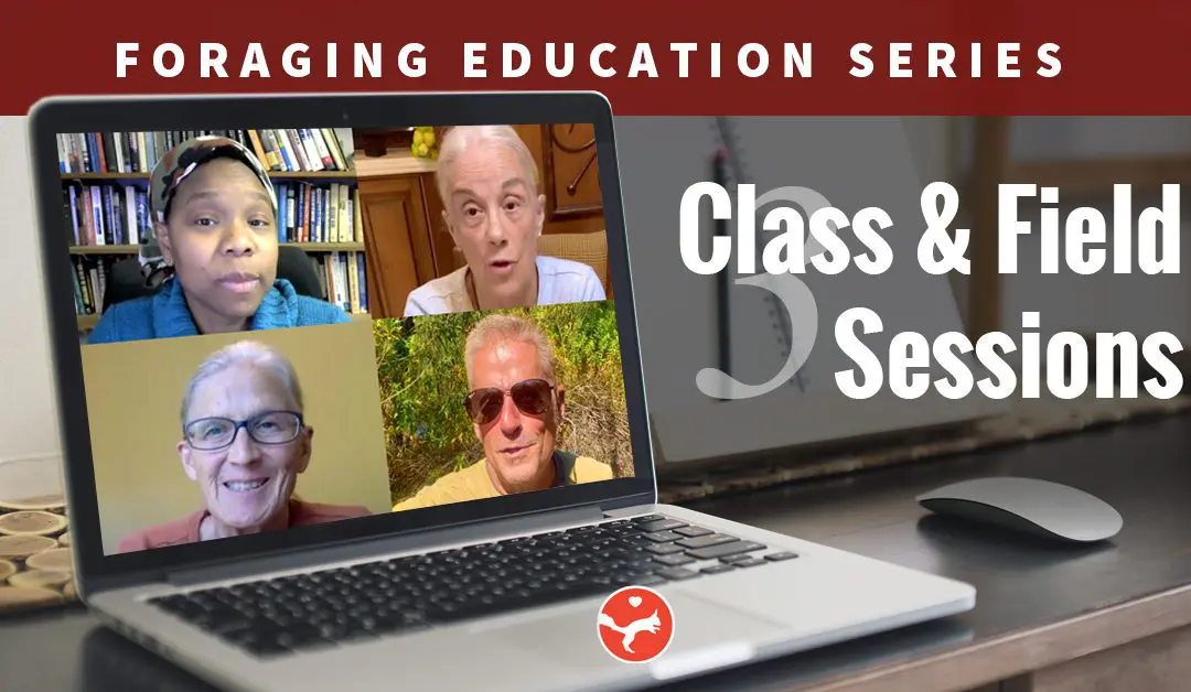 Foraging – Session 3 (Virtual Class)