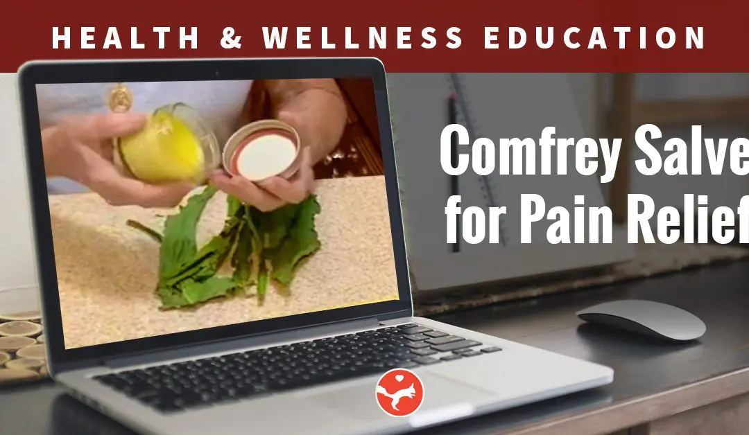 Comfrey Salve (Virtual Class)