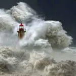 A Pivotal Year & The Interpretation of Prophecy