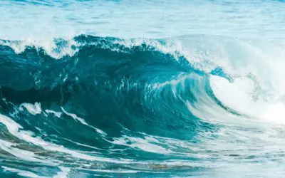 The Covid Narrative Tide is Turning