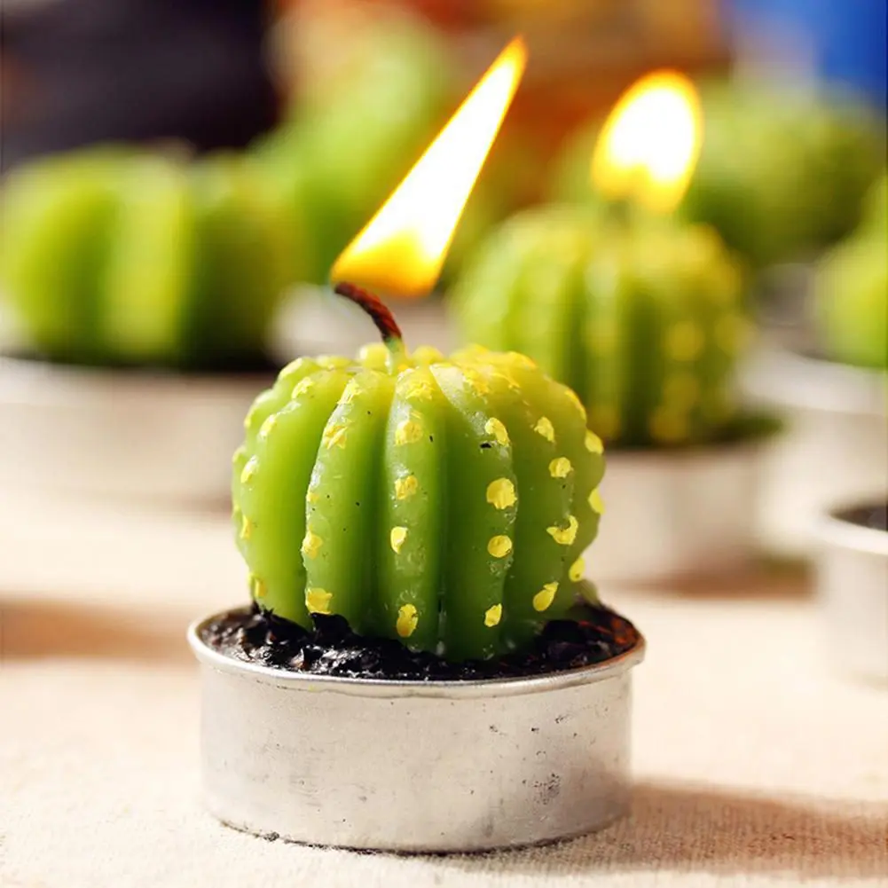 region-13-cactus
