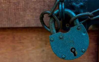 Security & Self Defense