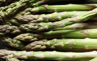 Tips For Productive Asparagus