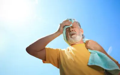 Extreme Heat Scenario