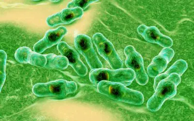 Botulism Blues