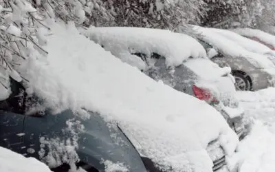 Winter Storm Scenario