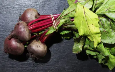 Growing Beets