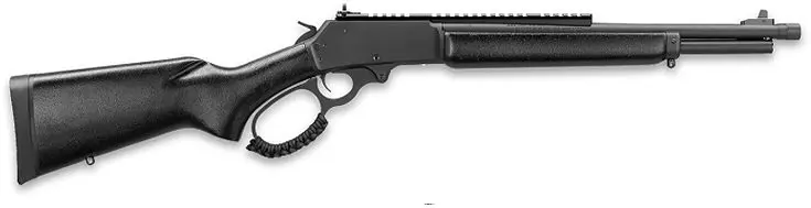 dl-arms8