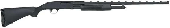 dl-arms9