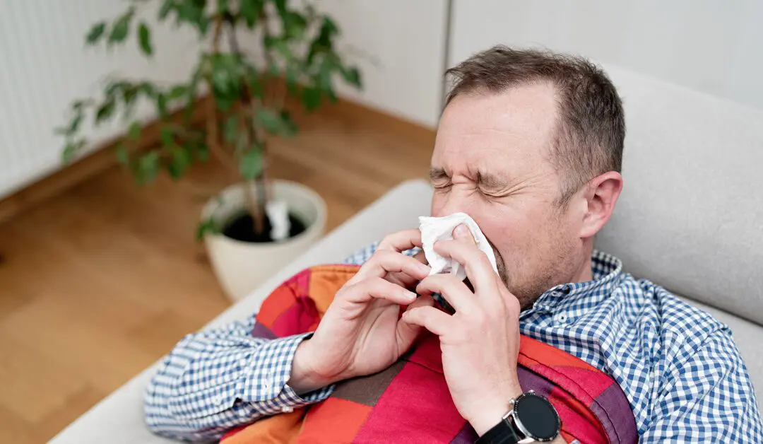 Flu-like Illness Remedies