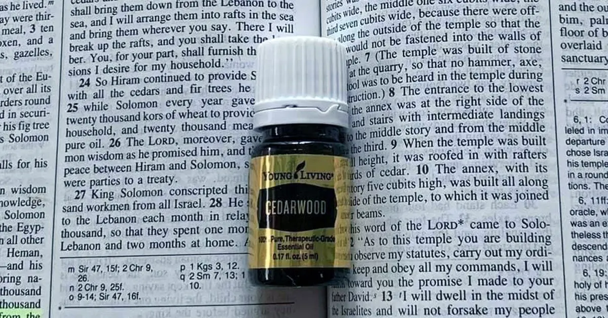 essential-oils4