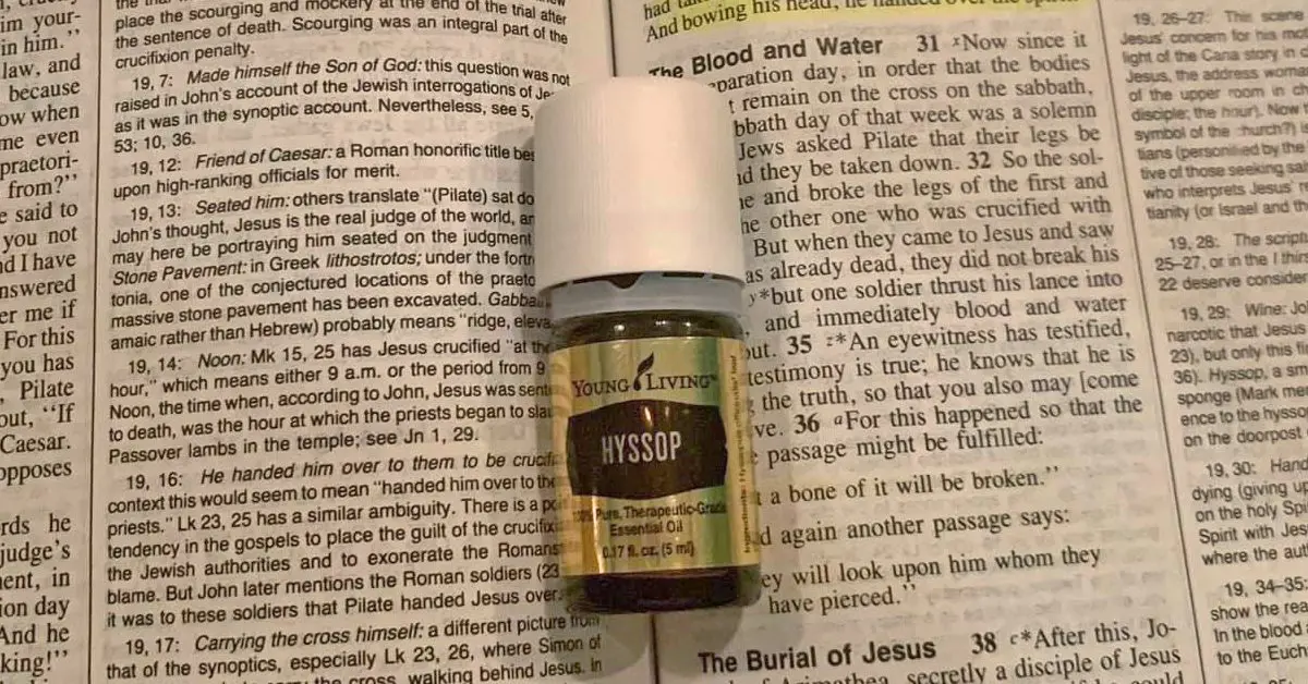 essential-oils7
