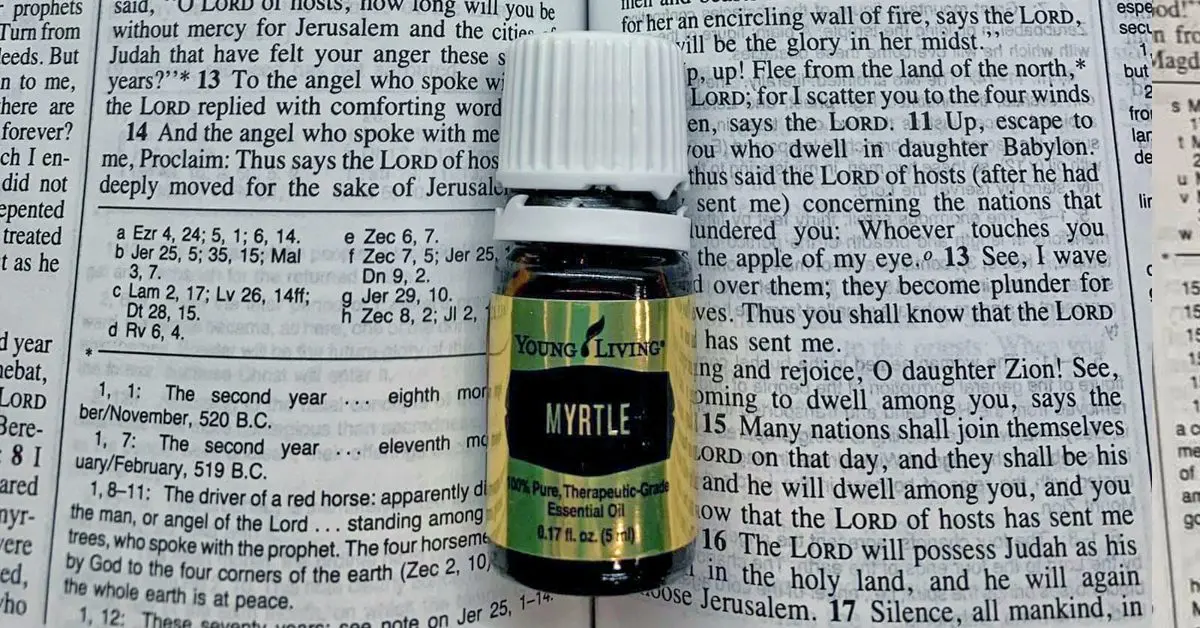 essential-oils9