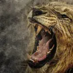 The Noonday Devil is on the Prowl