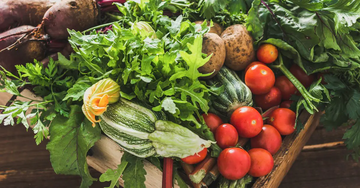 Survival Plants - Part 1