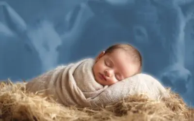 Merry Christmas!