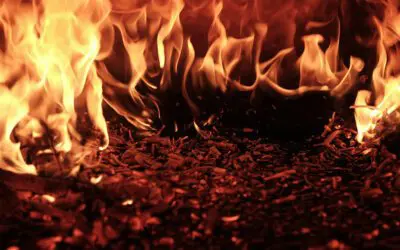 What Might Have Been