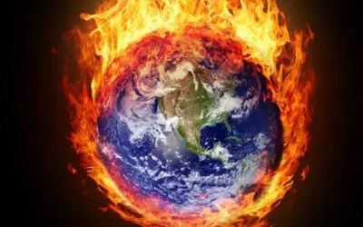 Watching the World Burn