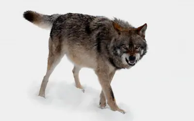 US Coffee Circle of Bishops Meets in Baltimore