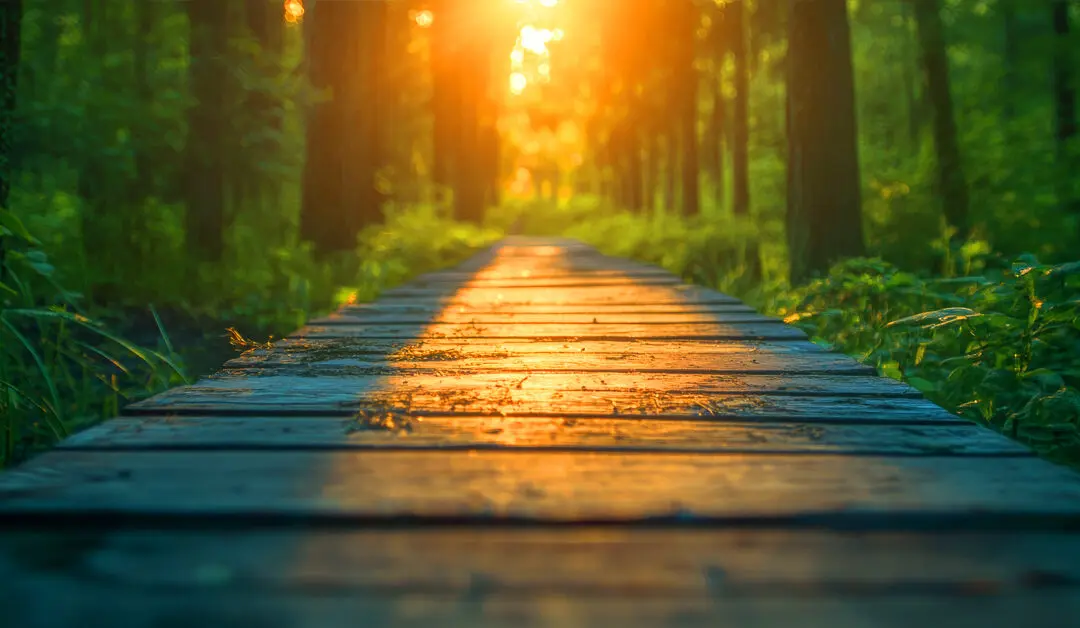 The Emotional Intelligence Edge