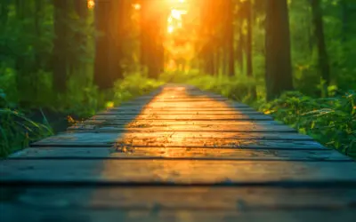 The Emotional Intelligence Edge