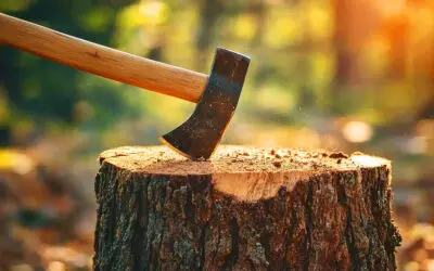 The Purpose-Driven Approach