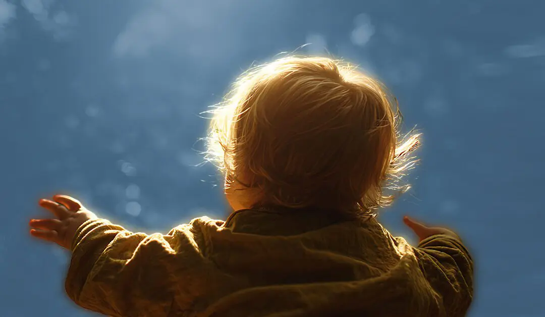 The Illumination Choice