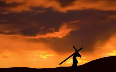 Appearance and Reality: The Triumph Is On the Horizon