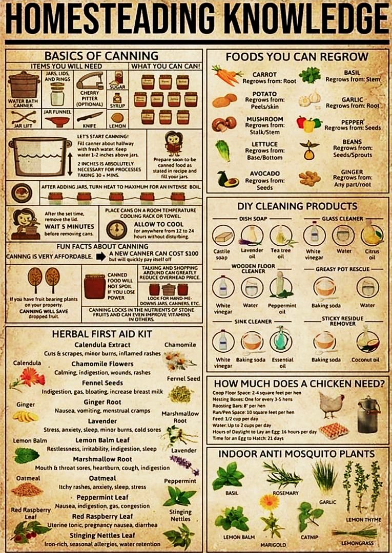 homesteading-knowledge