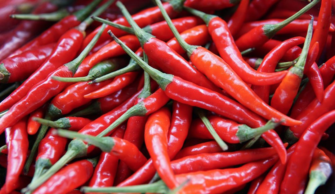 Cayenne Pepper – Culinary Spice or Medical Powerhouse