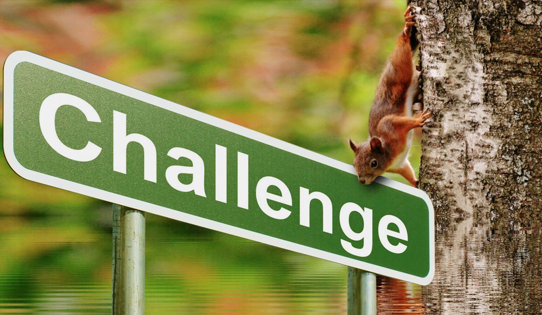 Friday Challenges – May 2023