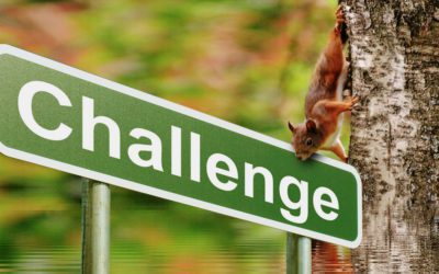 Friday Challenges – May 2023