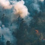 What Can Wildfire Toxicity Teach Us About COVID-19 & Treating COPD